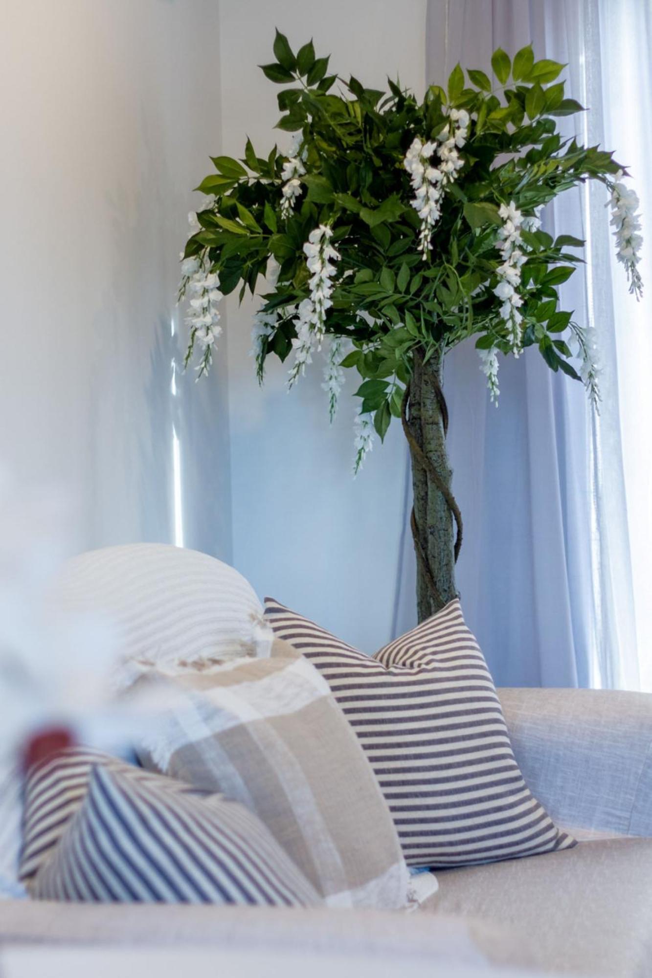 Stylish 2-Bedroom Haven Next To Hagley Park كريستتشيرش المظهر الخارجي الصورة